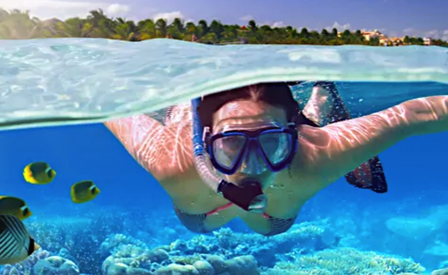 Cabo San Lucas Tours | Cabo Day Trips